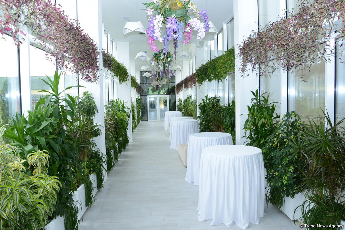 Центр культуры и эко-парк в поселке Зиря - путешествие в райский уголок (ФОТО)