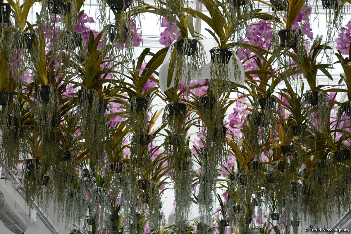 Центр культуры и эко-парк в поселке Зиря - путешествие в райский уголок (ФОТО)