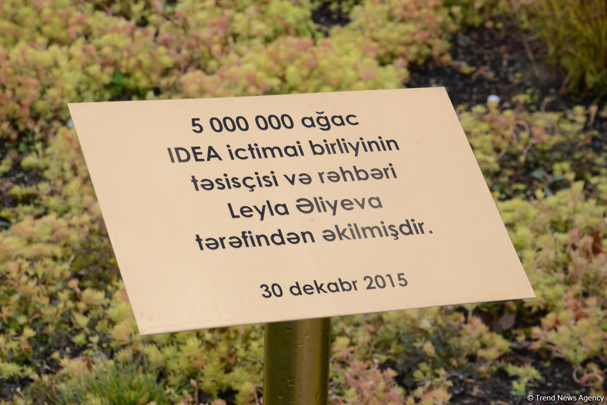 Центр культуры и эко-парк в поселке Зиря - путешествие в райский уголок (ФОТО)