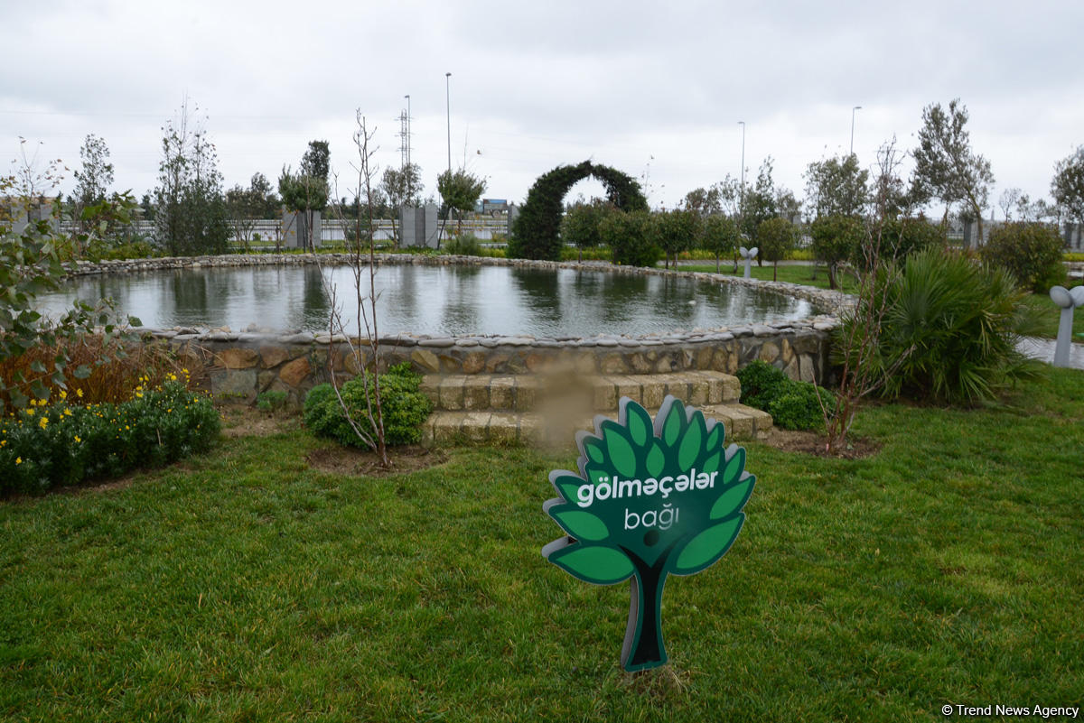 Центр культуры и эко-парк в поселке Зиря - путешествие в райский уголок (ФОТО)