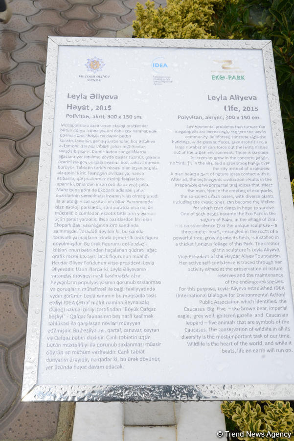 Центр культуры и эко-парк в поселке Зиря - путешествие в райский уголок (ФОТО)