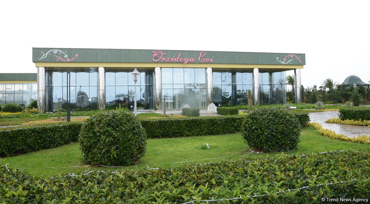 Центр культуры и эко-парк в поселке Зиря - путешествие в райский уголок (ФОТО)