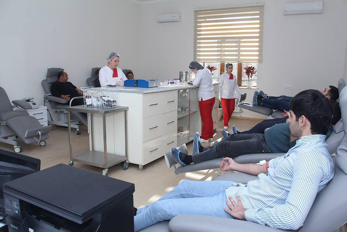 Азербайджанские спортсмены провели донорскую акцию (ФОТО)