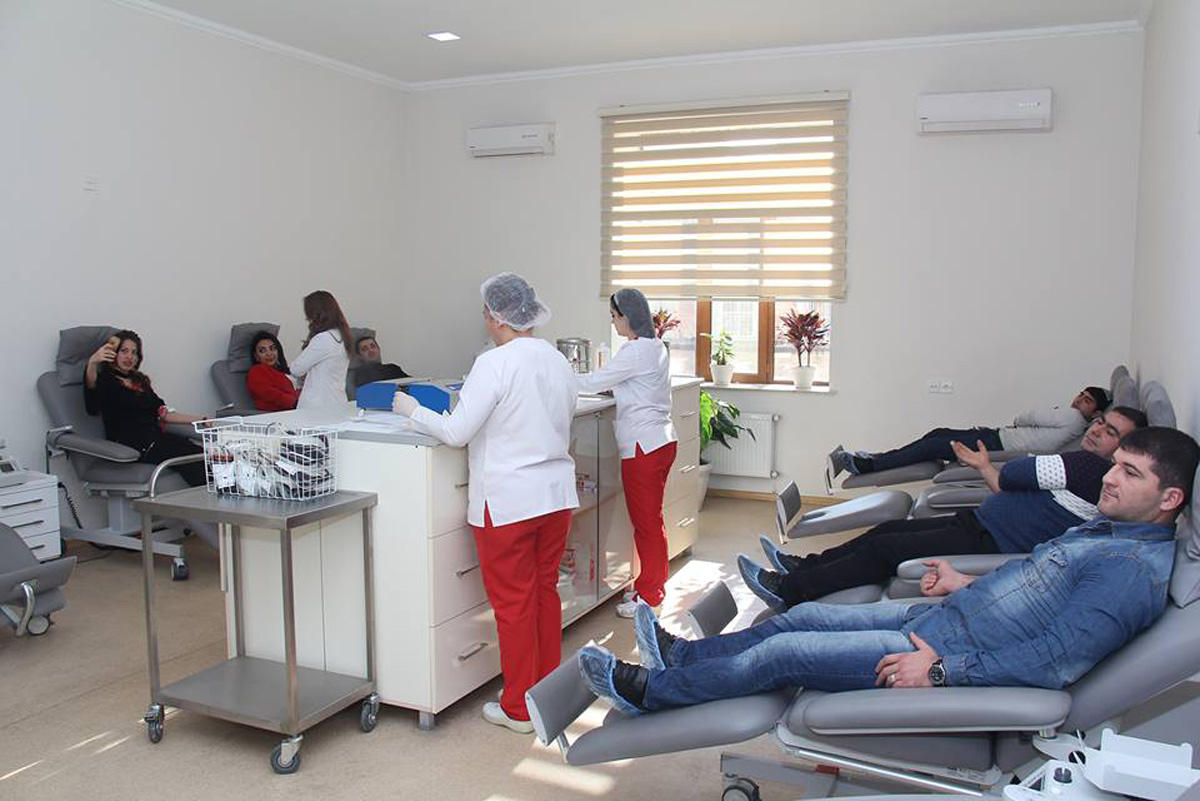 Азербайджанские спортсмены провели донорскую акцию (ФОТО)