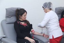 Азербайджанские спортсмены провели донорскую акцию (ФОТО)