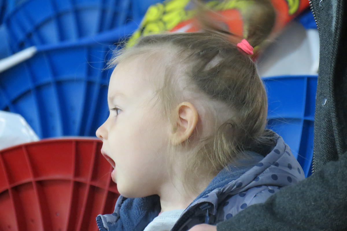 Компания ASEP провела в Баку  десятый юбилейный Чемпионат на Кубок ГКС (ВИДЕО, ФОТО)