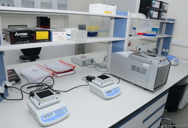 В Азербайджане создадут реестры научно-исследовательских центров и лабораторий