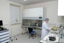 Республиканская ветлаборатория Азербайджана пройдет международную аккредитацию (ФОТО)