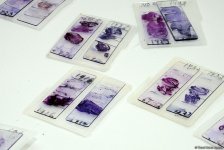 Республиканская ветлаборатория Азербайджана пройдет международную аккредитацию (ФОТО)