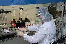 Республиканская ветлаборатория Азербайджана пройдет международную аккредитацию (ФОТО)