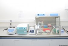 Республиканская ветлаборатория Азербайджана пройдет международную аккредитацию (ФОТО)