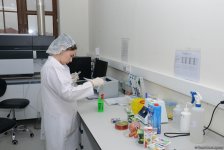 Республиканская ветлаборатория Азербайджана пройдет международную аккредитацию (ФОТО)