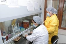 Республиканская ветлаборатория Азербайджана пройдет международную аккредитацию (ФОТО)