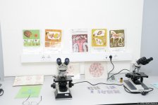 Республиканская ветлаборатория Азербайджана пройдет международную аккредитацию (ФОТО)