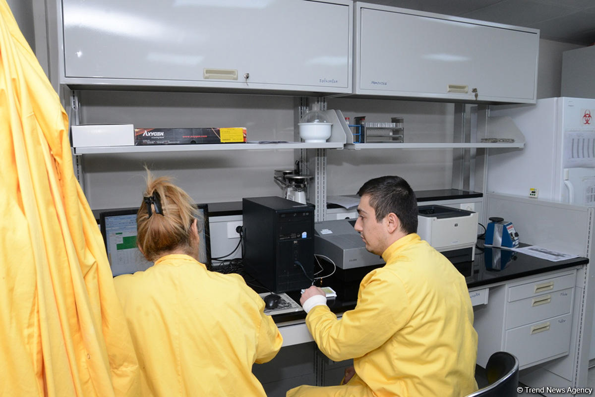Республиканская ветлаборатория Азербайджана пройдет международную аккредитацию (ФОТО)