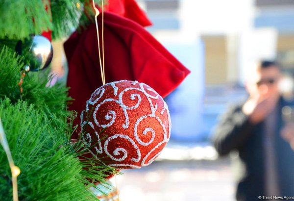 На территории Бакинского бульвара ведутся специальные подготовительные работы к Новому году - Афсана Мехдиева