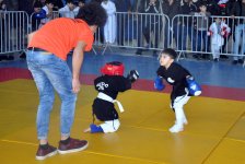 Азербайджанские бойцы стали чемпионами Евразии по кэмпо (ФОТО)