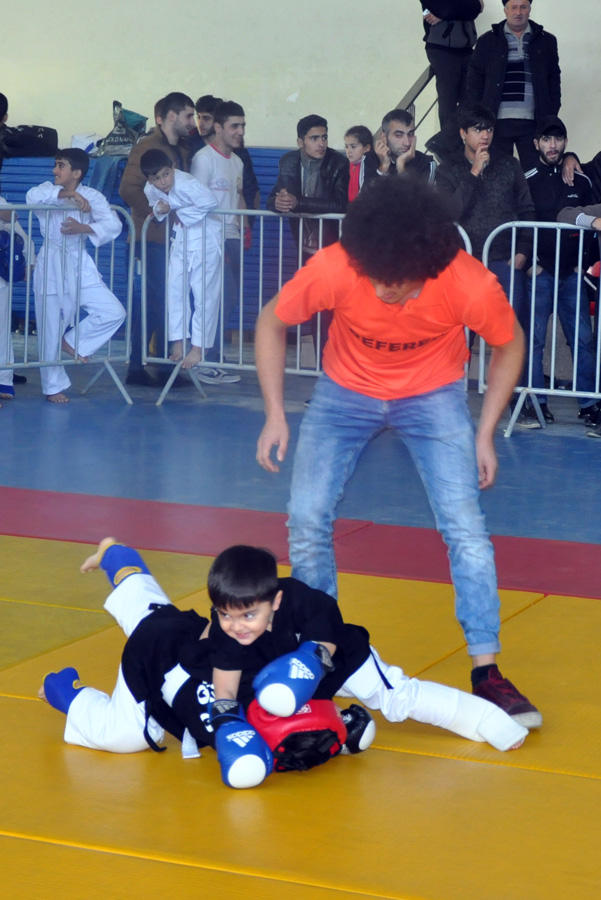 Азербайджанские бойцы стали чемпионами Евразии по кэмпо (ФОТО)