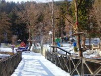 Пункт назначения –  Боржоми (ФОТО)