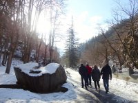 Пункт назначения –  Боржоми (ФОТО)