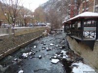 Пункт назначения –  Боржоми (ФОТО)