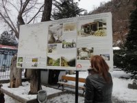 Пункт назначения –  Боржоми (ФОТО)