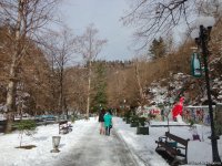 Пункт назначения –  Боржоми (ФОТО)