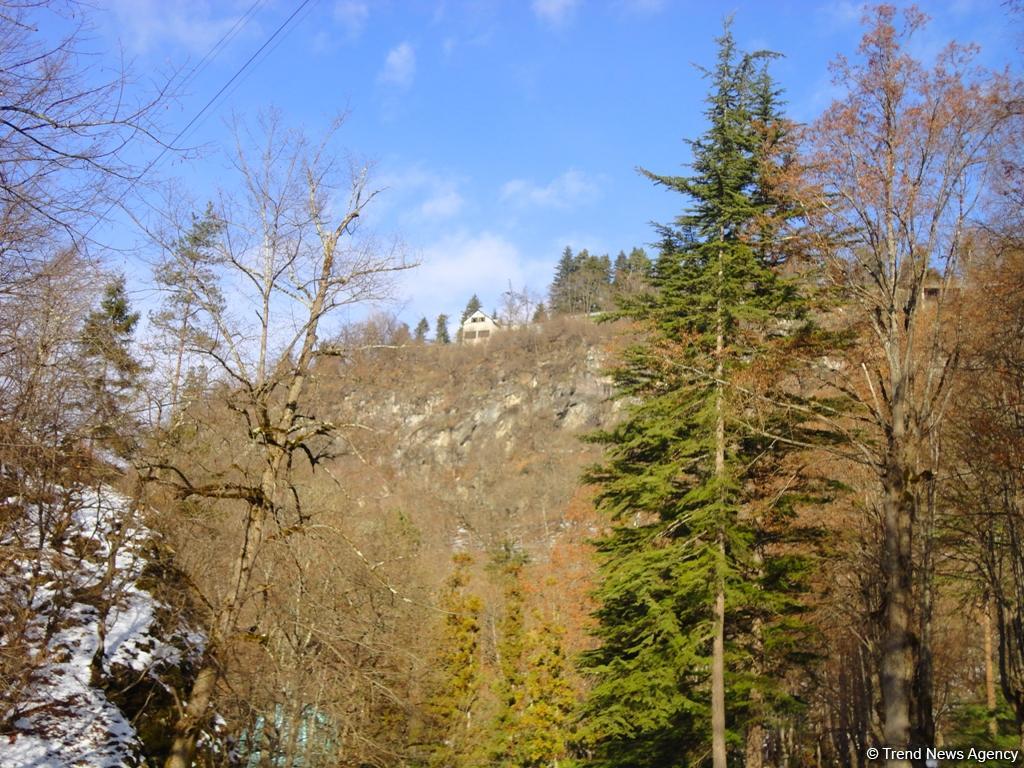 Пункт назначения –  Боржоми (ФОТО)