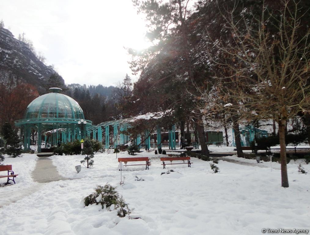 Пункт назначения –  Боржоми (ФОТО)