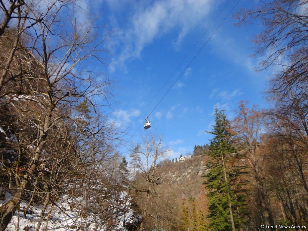 Пункт назначения –  Боржоми (ФОТО)