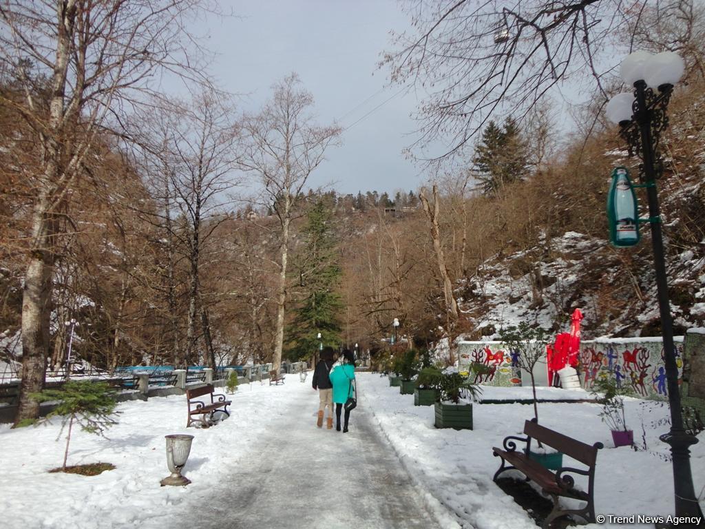 Пункт назначения –  Боржоми (ФОТО)