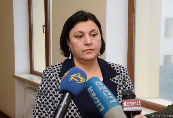 В Азербайджане образование в начальной школе должно быть на родном языке - депутат