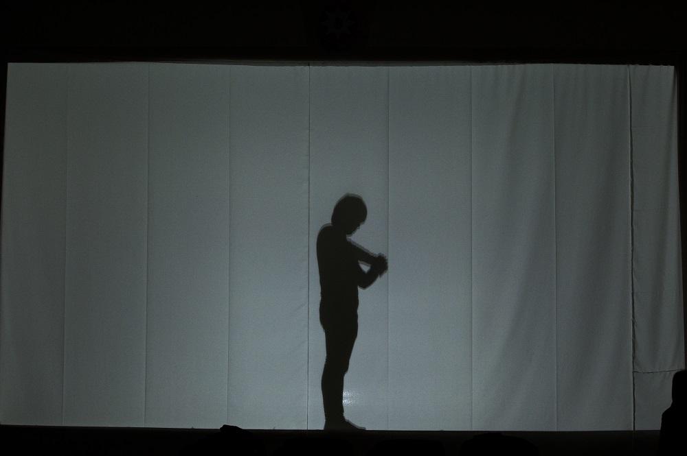 В Барде заговорили тени  (ФОТО)