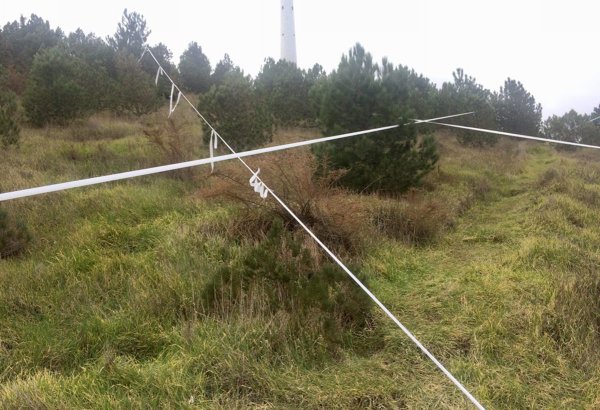 Минэкологии о ситуации в зоне оползня вблизи бакинской телебашни