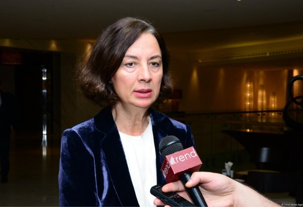 FAO поможет Азербайджану улучшить систему управления лесными ресурсами (Эксклюзив)