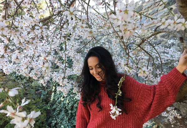 Жители Болгарии признались в любви азербайджанской участнице "Евровидения 2018" (ВИДЕО)