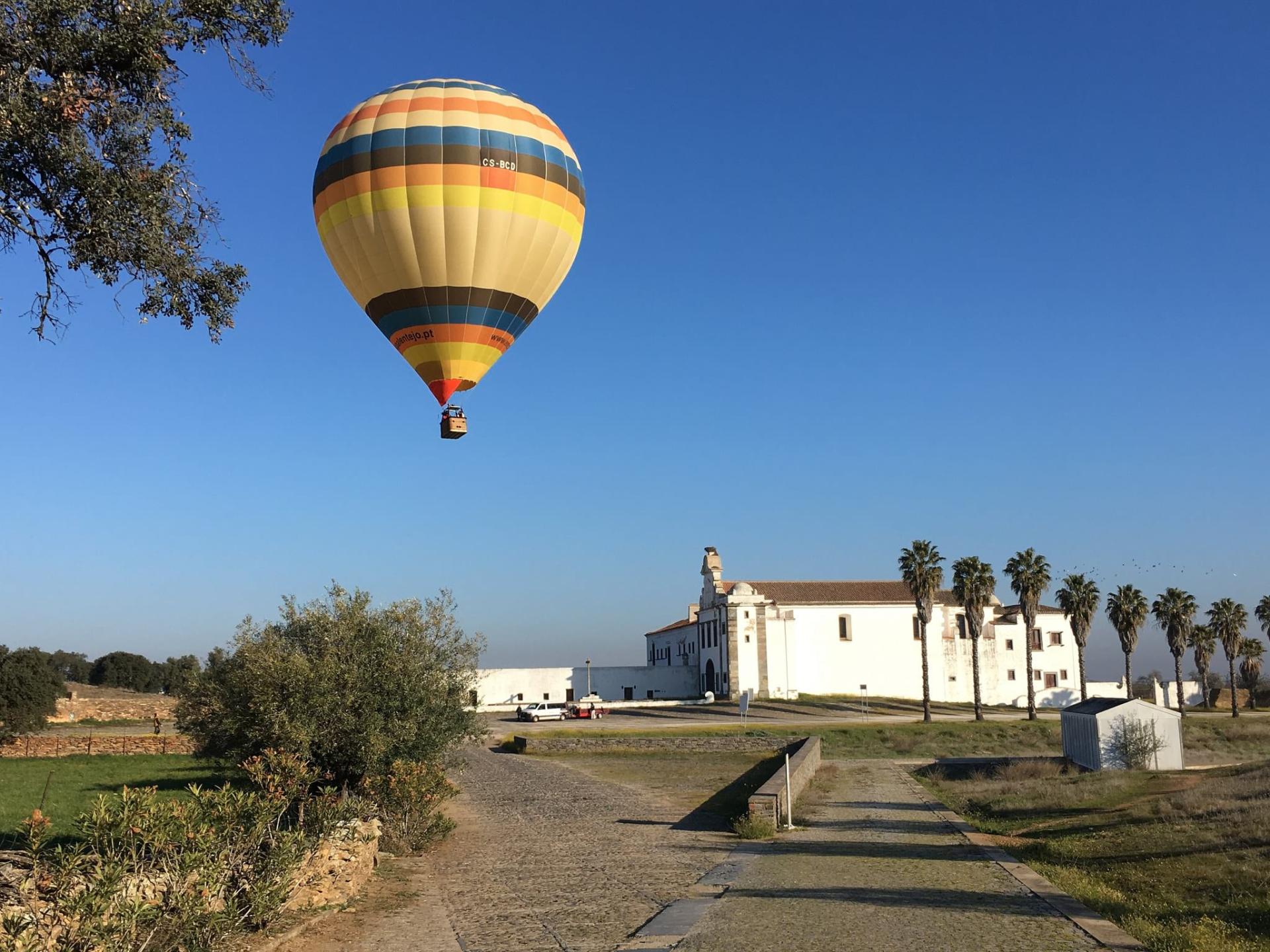 Айсель Мамедова рассказала о "Евровидении 2018" и призвала защищать животных (ФОТО, АУДИО)