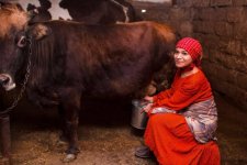 8 образов на 8 марта азербайджанской певицы (ФОТО)