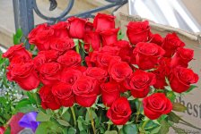 С праздником вас, азербайджанские женщины! (ФОТОРЕПОРТАЖ)