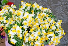 С праздником вас, азербайджанские женщины! (ФОТОРЕПОРТАЖ)