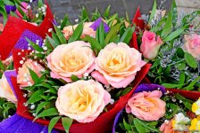 С праздником вас, азербайджанские женщины! (ФОТОРЕПОРТАЖ)