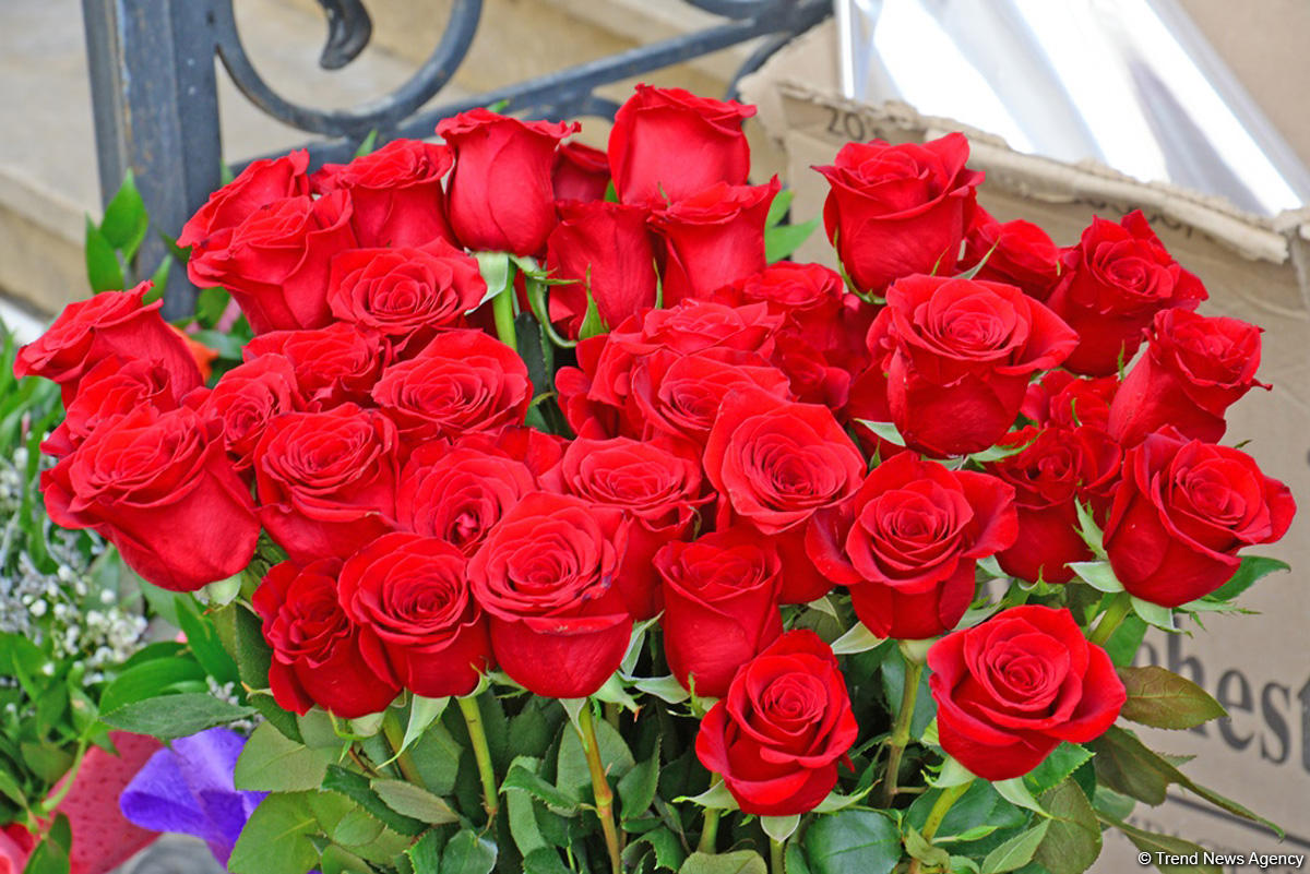 С праздником вас, азербайджанские женщины! (ФОТОРЕПОРТАЖ)