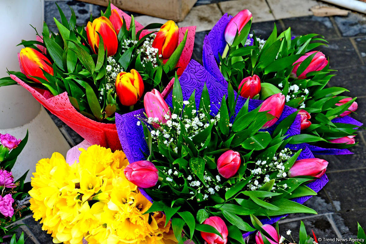 С праздником вас, азербайджанские женщины! (ФОТОРЕПОРТАЖ)