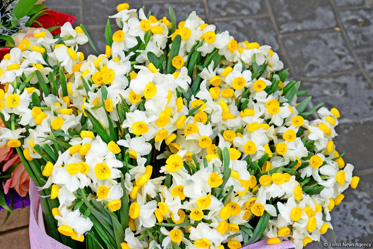 С праздником вас, азербайджанские женщины! (ФОТОРЕПОРТАЖ)