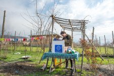 По инициативе Фонда Гейдара Алиева малообеспеченным семьям раздаются праздничные подарки (ФОТО)