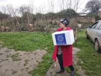 По инициативе Фонда Гейдара Алиева малообеспеченным семьям раздаются праздничные подарки (ФОТО)