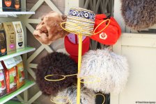 В Баку состоялось празднество по случаю Новруз байрамы (ФОТО)