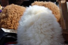 В Баку состоялось празднество по случаю Новруз байрамы (ФОТО)