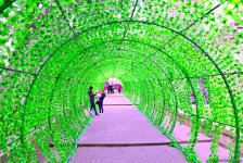 Туристы в Баку отмечают праздник Новруз (ФОТО)