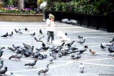 Туристы в Баку отмечают праздник Новруз (ФОТО)